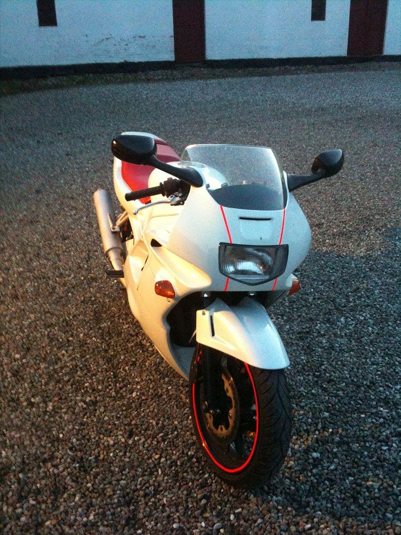 Honda CBR 600 billede 10