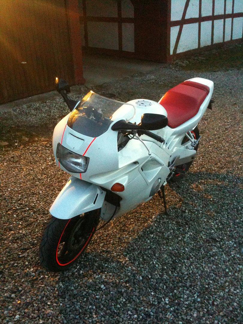 Honda CBR 600 billede 12