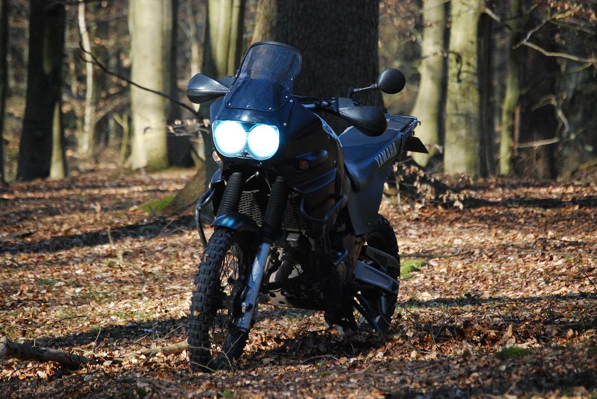 Yamaha XTZ 850 Mette Mols R.I.P billede 6