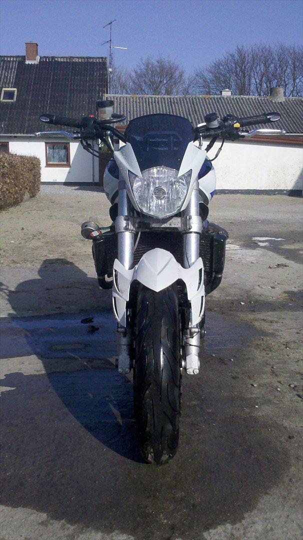 Suzuki TL1000R Streetfighter billede 5