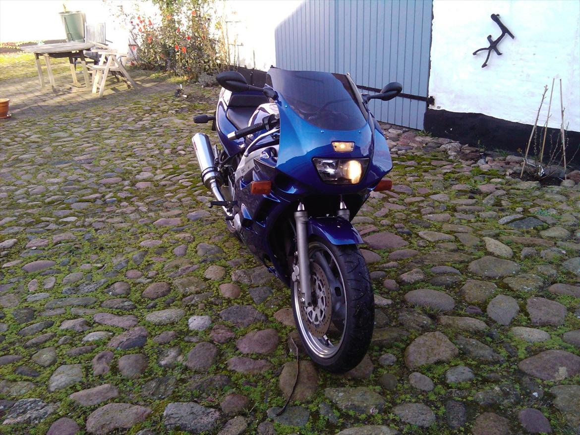 Yamaha FZR 600 billede 3