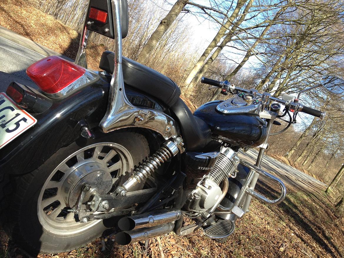 Dorton XT 250 billede 1