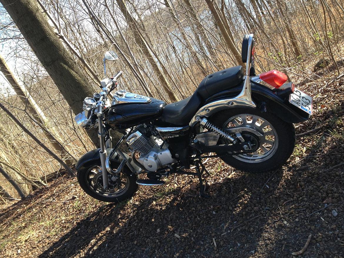 Dorton XT 250 billede 2