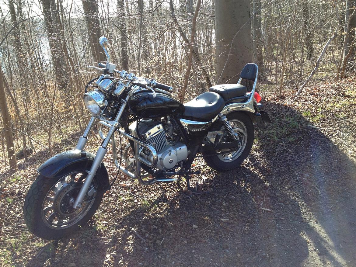 Dorton XT 250 billede 3