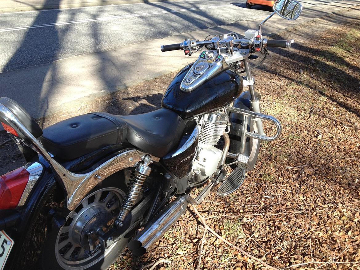 Dorton XT 250 billede 6