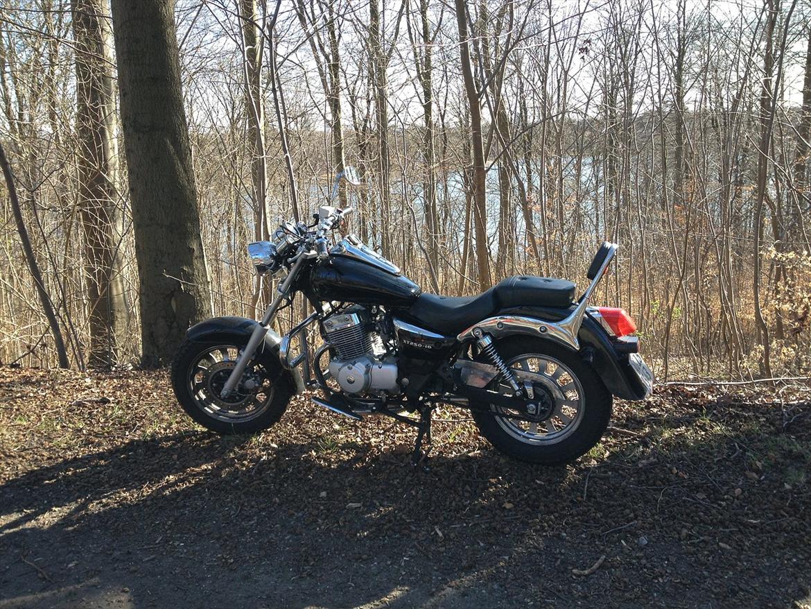 Dorton XT 250 billede 8