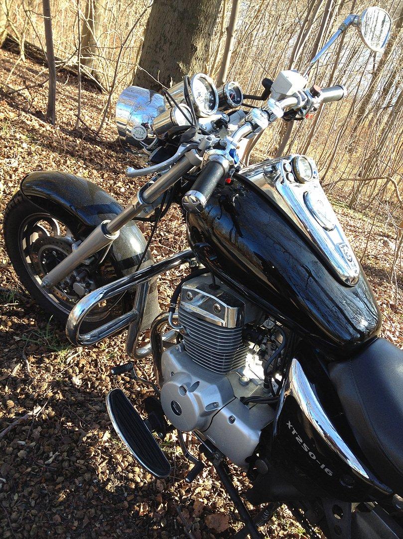 Dorton XT 250 billede 9