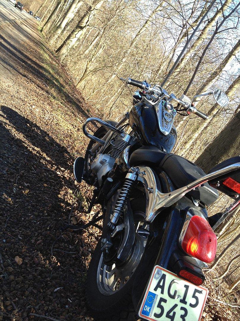 Dorton XT 250 billede 12