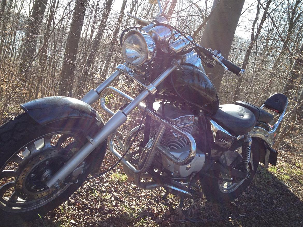 Dorton XT 250 billede 13