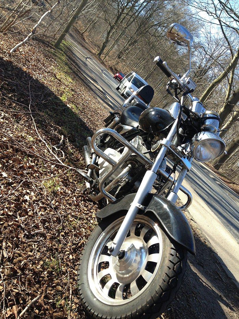 Dorton XT 250 billede 14