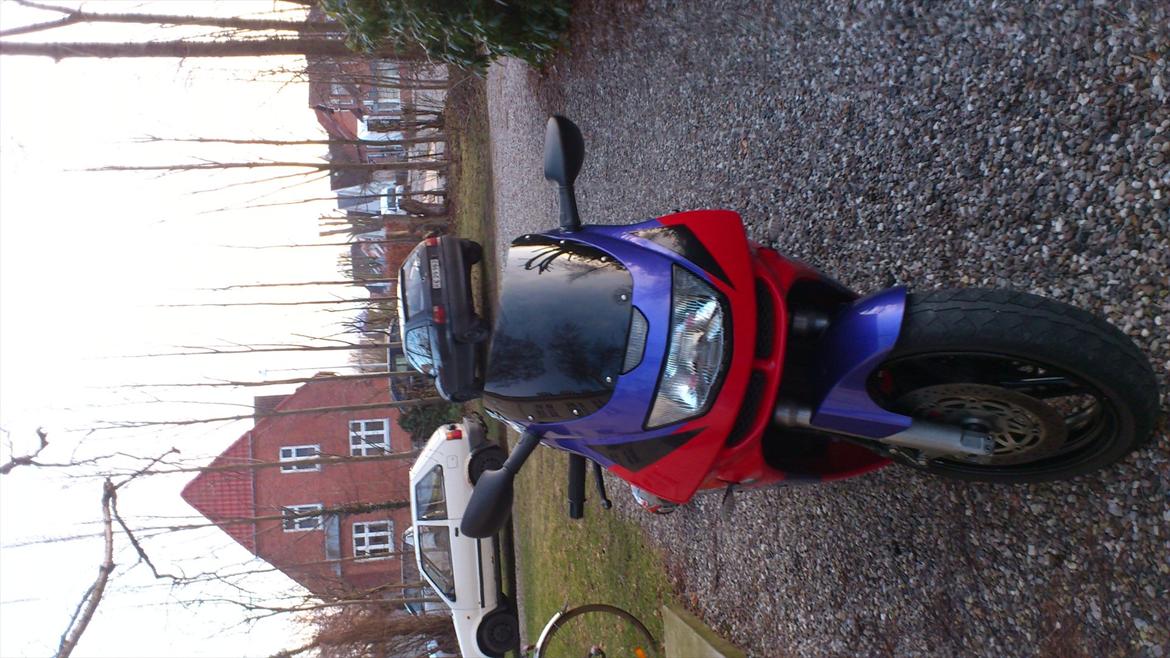 Kawasaki Ninja zx6r billede 12