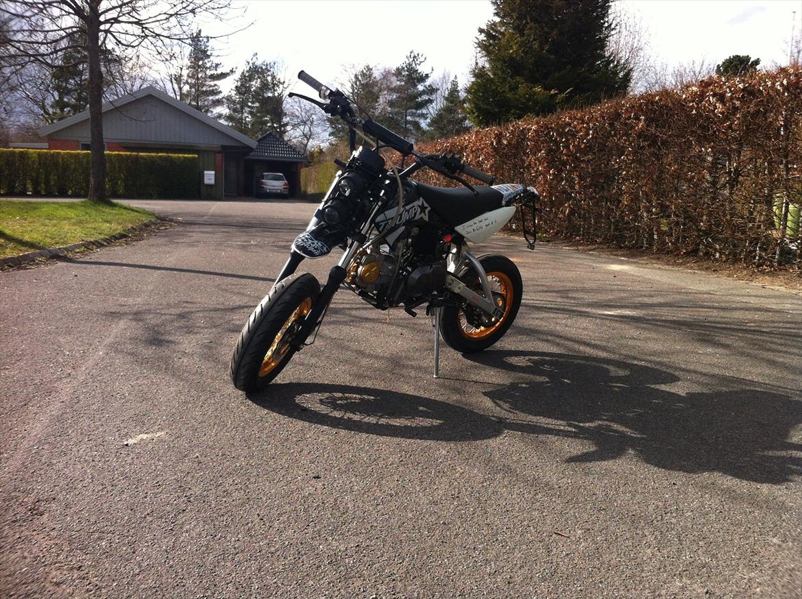 Thumpstar Road Ripper - Det gamle skjold sæt billede 2