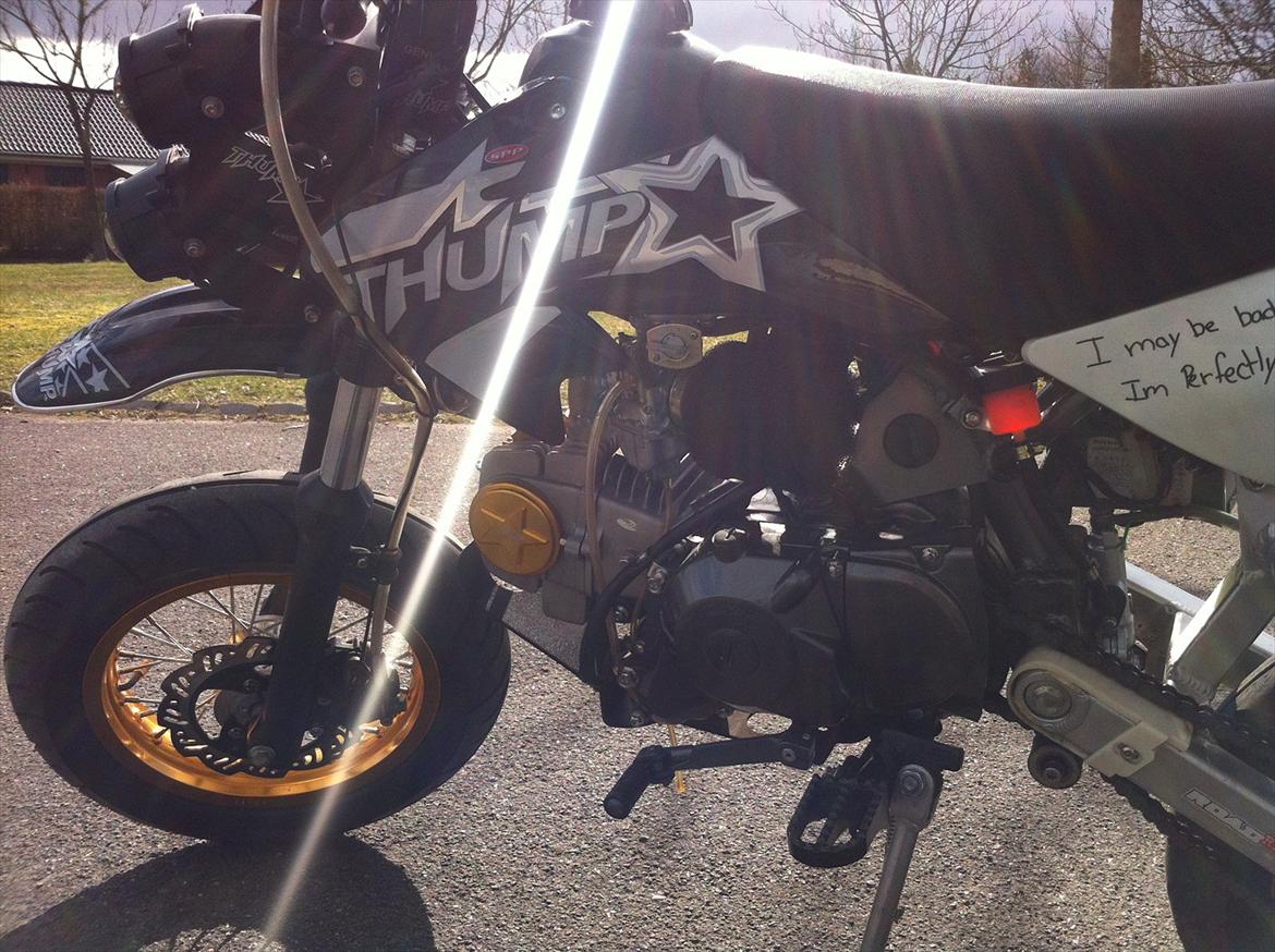 Thumpstar Road Ripper billede 3