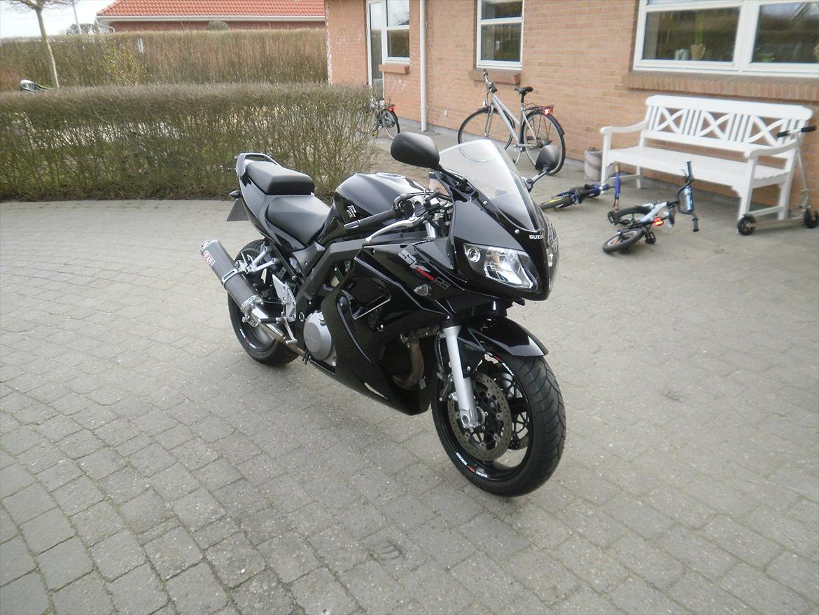 Suzuki SV 1000 S billede 2