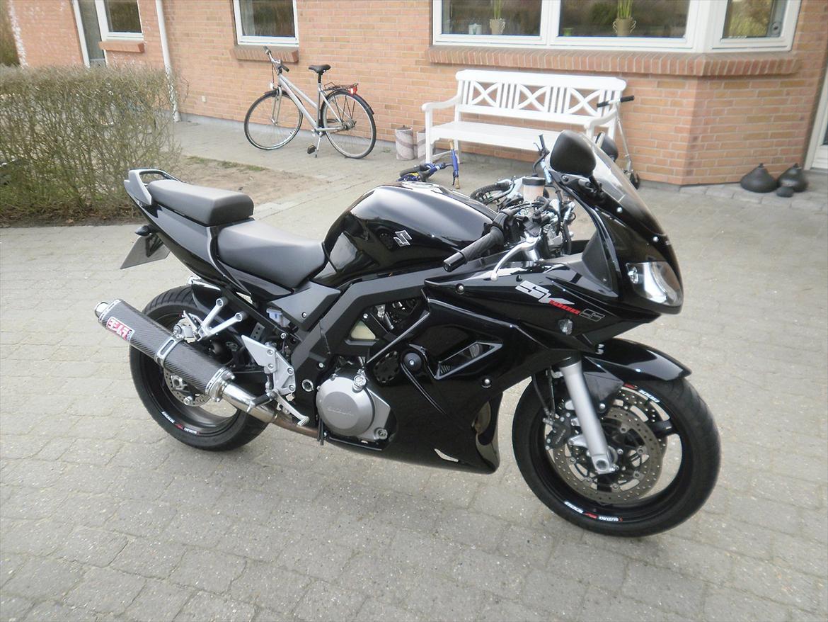 Suzuki SV 1000 S billede 1