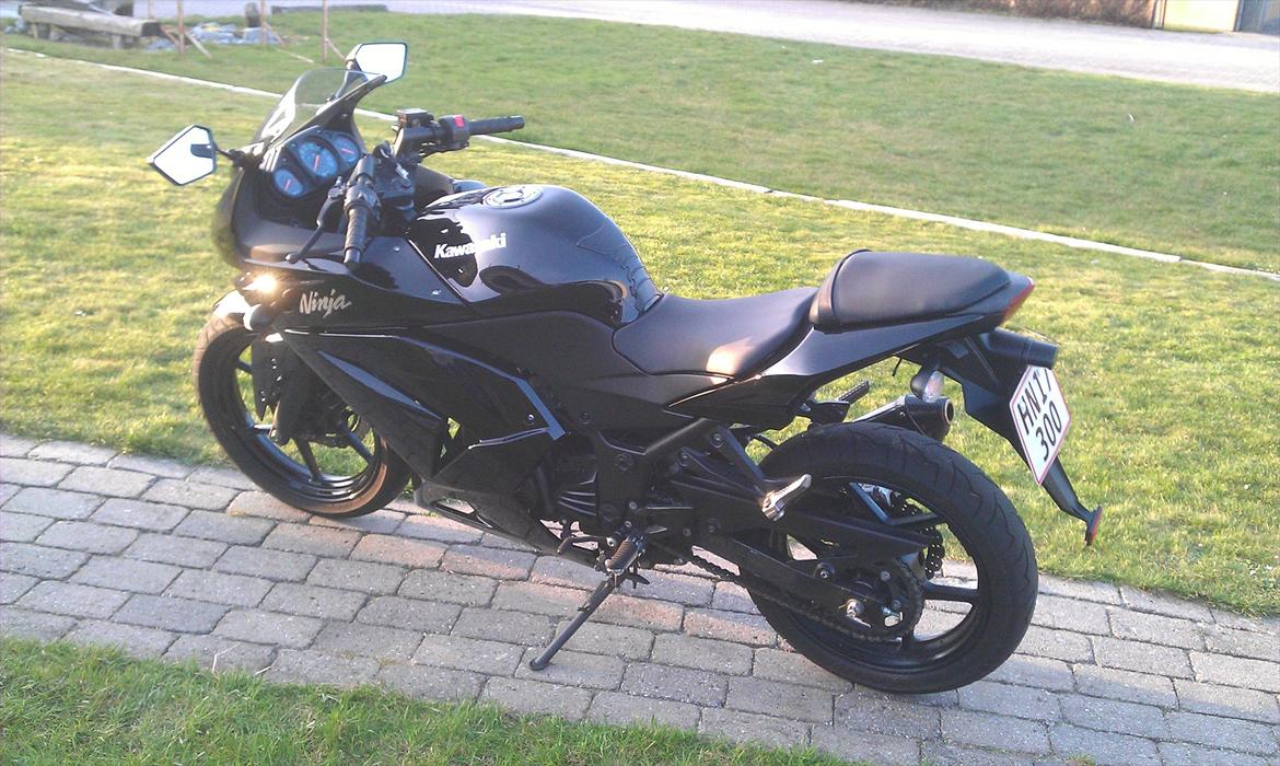 Kawasaki Ninja 250r billede 1