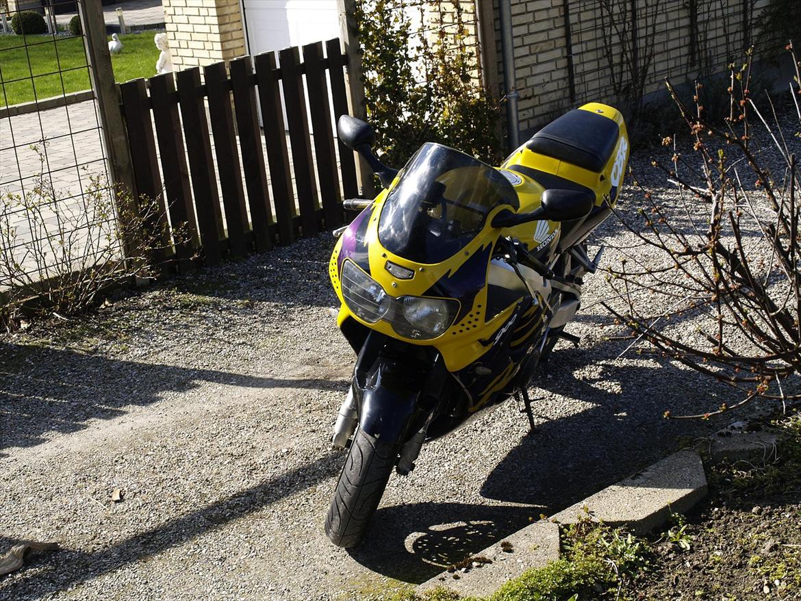 Honda CBR900RR Fireblade billede 1