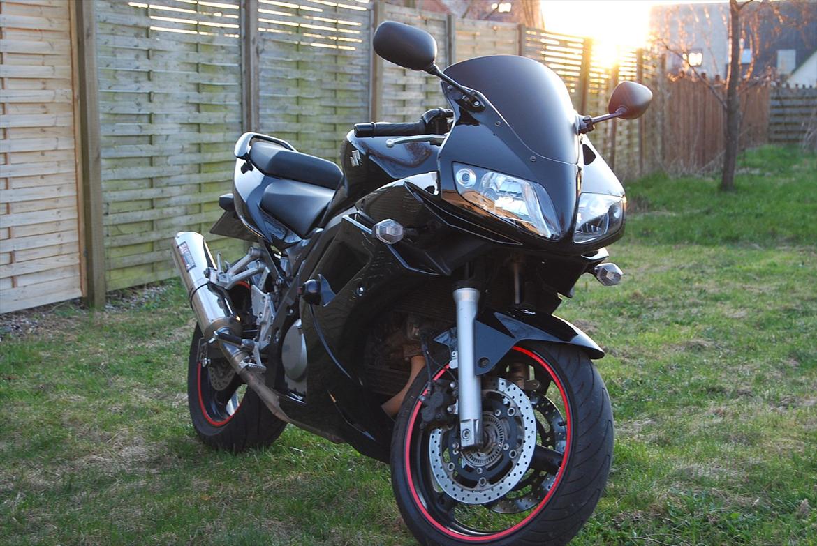 Suzuki SV 650 S billede 1