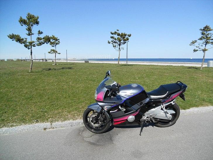 Honda CBR 600 (F2) billede 2