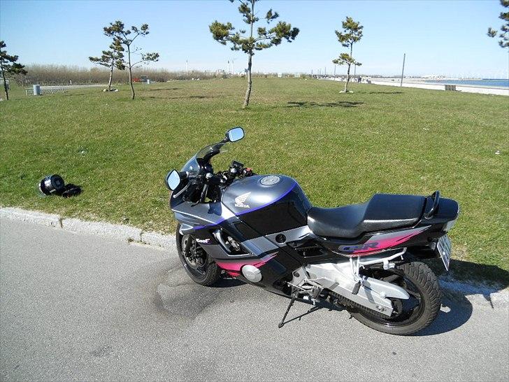Honda CBR 600 (F2) billede 4