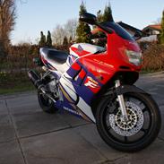 Honda CBR 600 F3