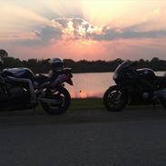 Honda CBR 600 F3