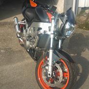 Suzuki sv 1000N