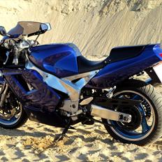 Yamaha FZR 1000 Exup