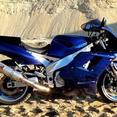 Yamaha FZR 1000 Exup