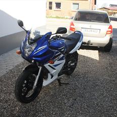 Suzuki GS 500 F TIDL. MC