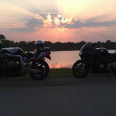 Honda CBR 600 F3