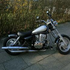 Jinlun 250-5 Bobber (solgt)