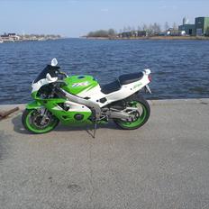 Kawasaki Ninja ZXR 400