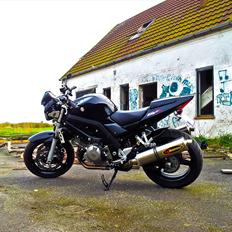 Suzuki SV1000 N K7