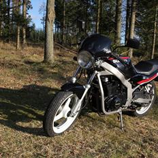 Suzuki GS 500