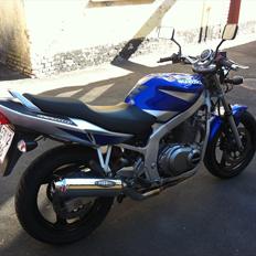 Suzuki GS 500 E