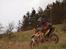 KTM 450EXC