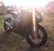 Honda CBR 1000rr Fireblade