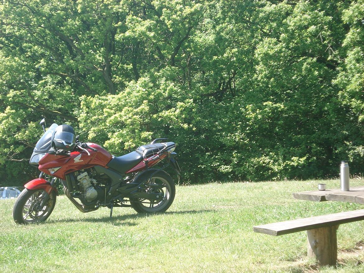 Honda CBF 600 SA - Rasteplads ved Fosdalen Foråret 2011 billede 2