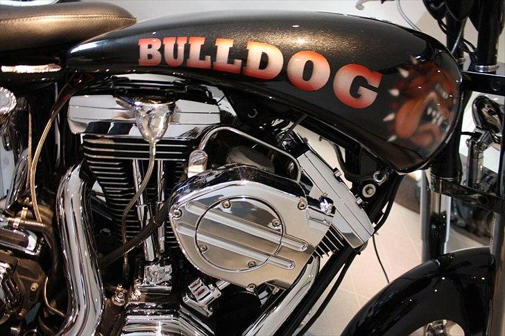 Harley Davidson Softail Custom "BULLDOG" billede 11