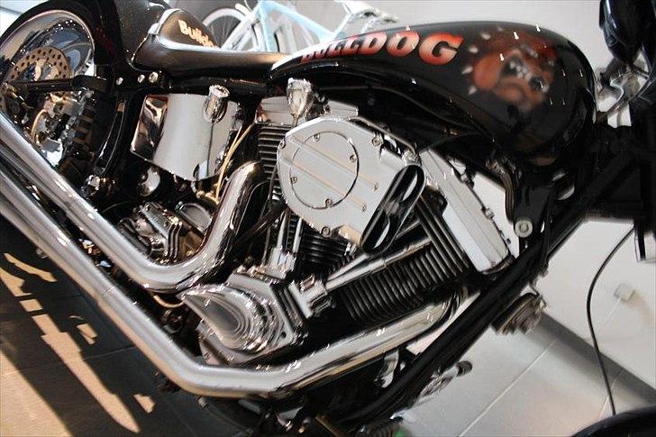 Harley Davidson Softail Custom "BULLDOG" billede 17