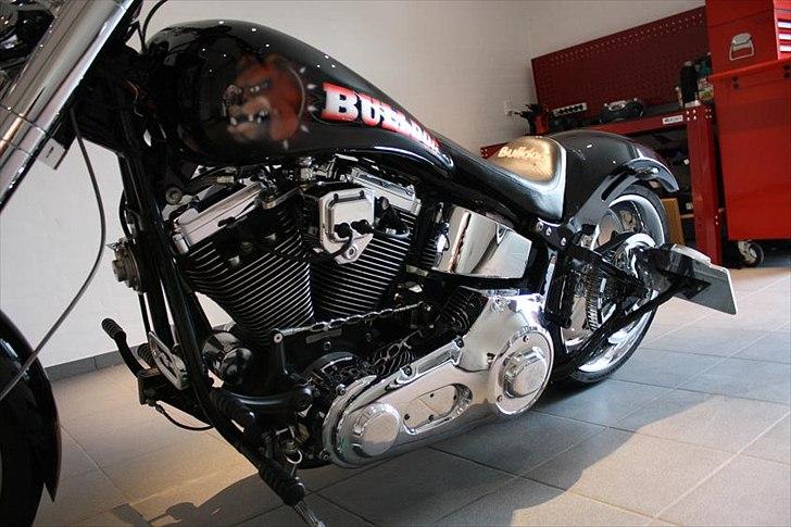 Harley Davidson Softail Custom "BULLDOG" billede 18