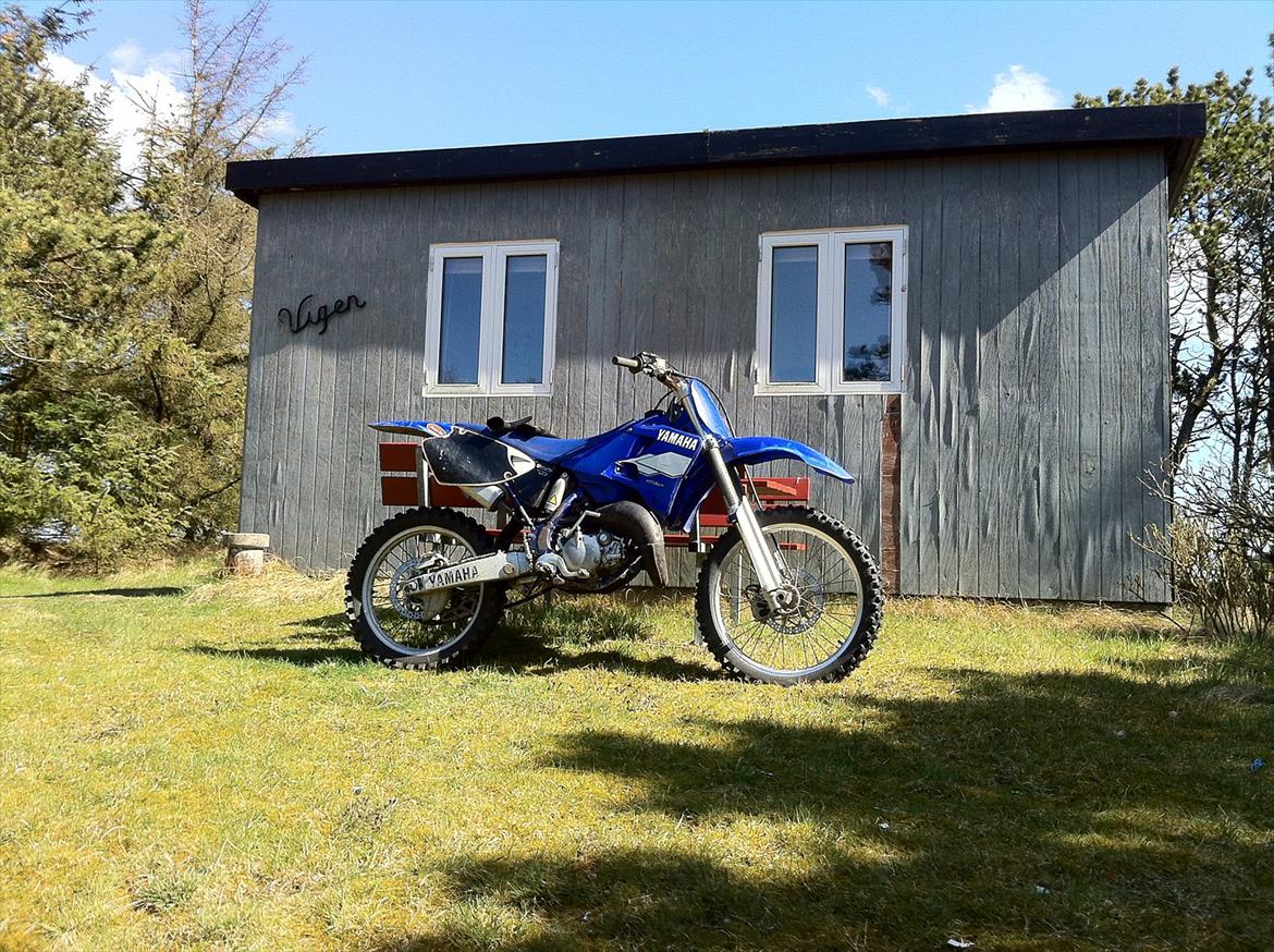 Yamaha YZ 125 billede 5