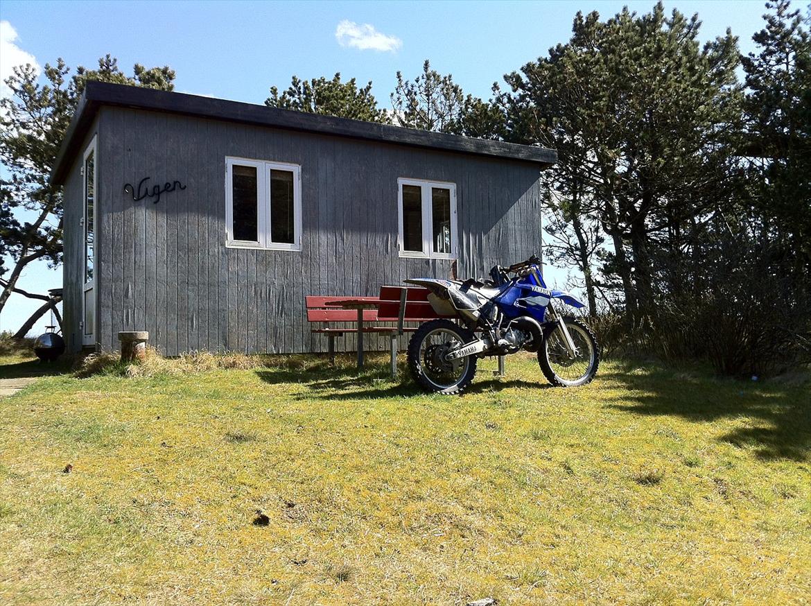 Yamaha YZ 125 billede 6