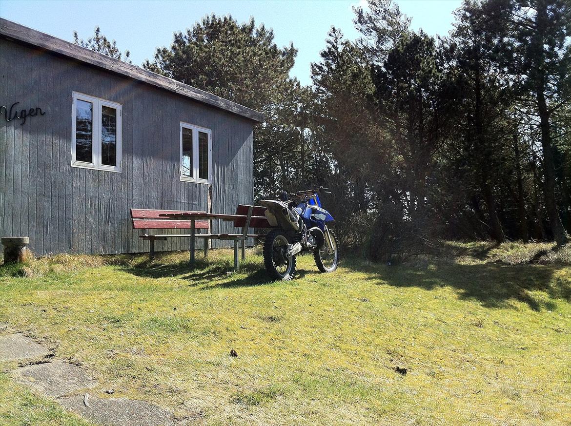 Yamaha YZ 125 billede 7