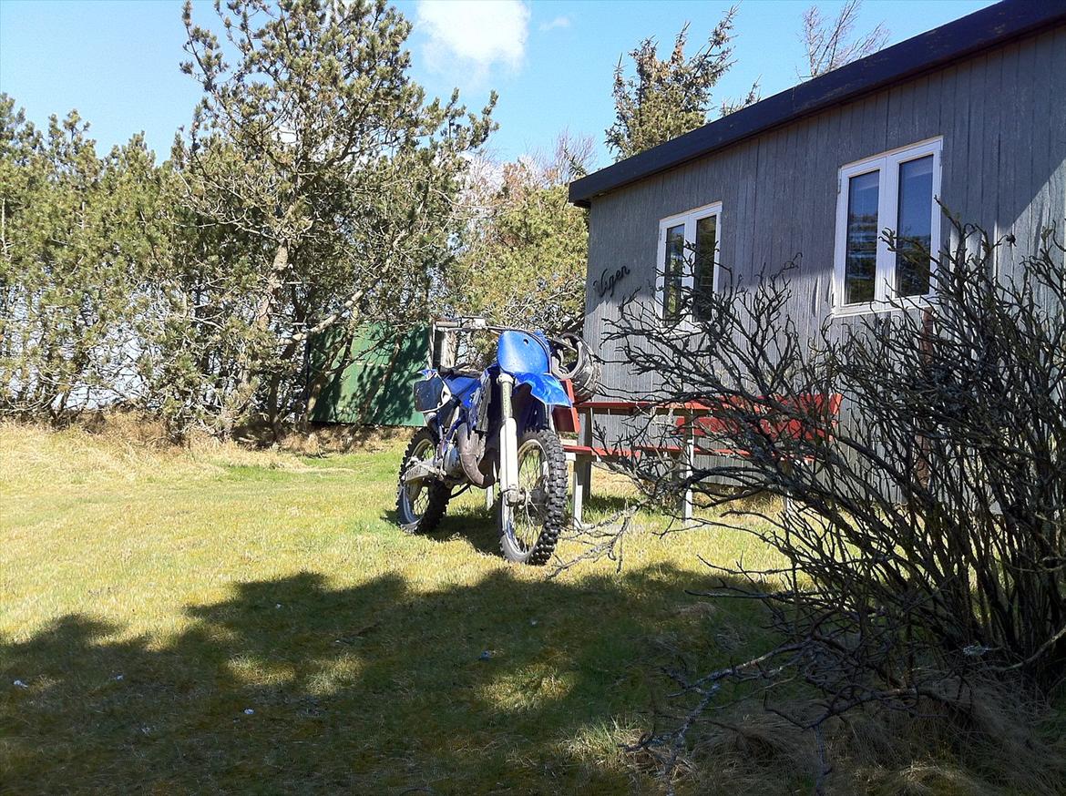 Yamaha YZ 125 billede 8