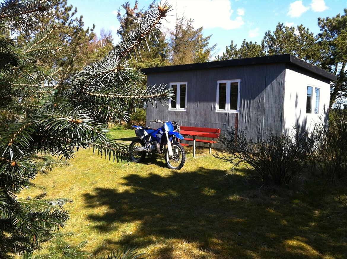 Yamaha YZ 125 billede 9