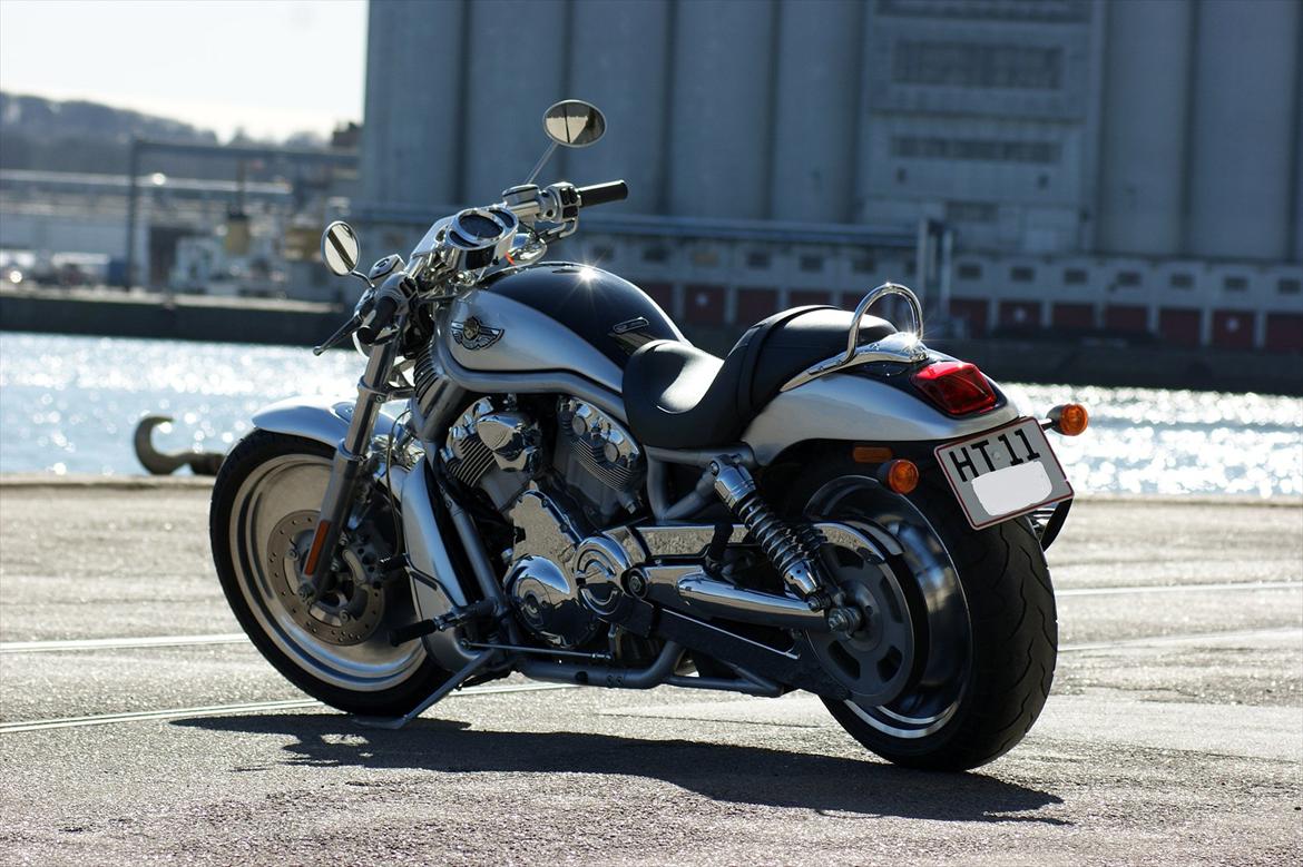 Harley Davidson V-Rod VRSCA 100th Anniversary billede 7