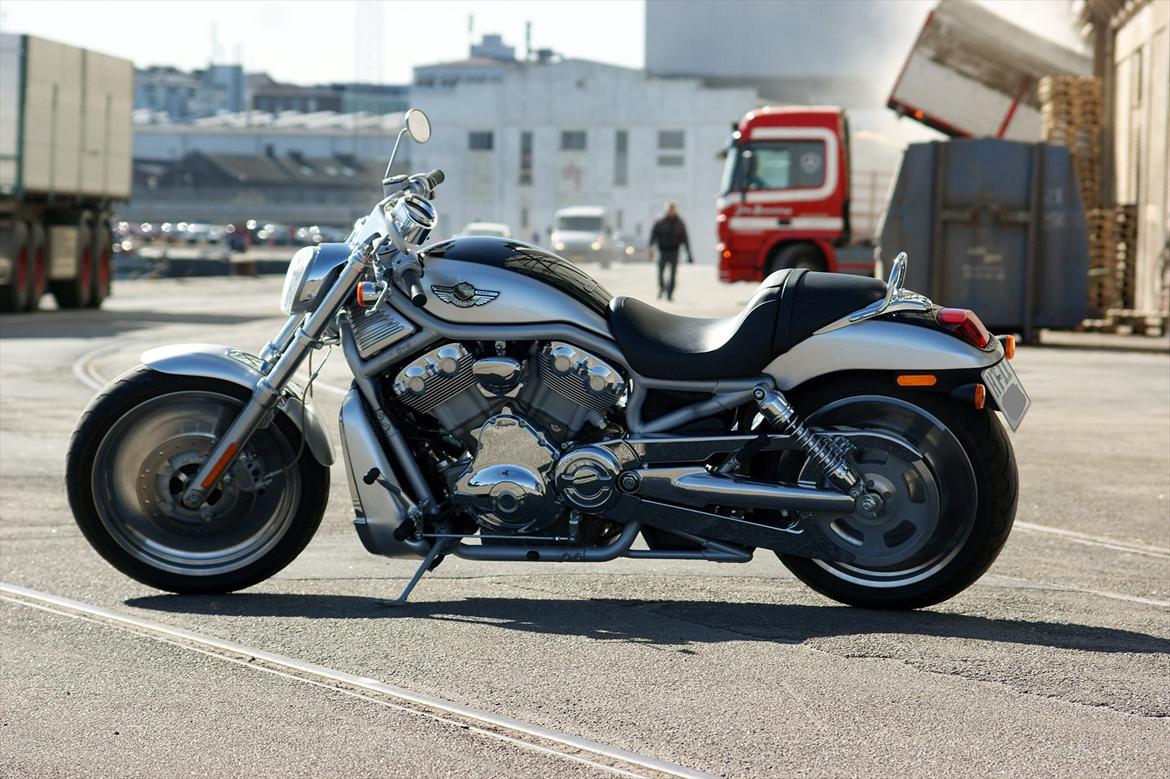 Harley Davidson V-Rod VRSCA 100th Anniversary billede 1