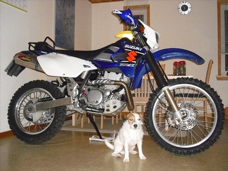 Suzuki Drz 400 S - Solgt billede 14